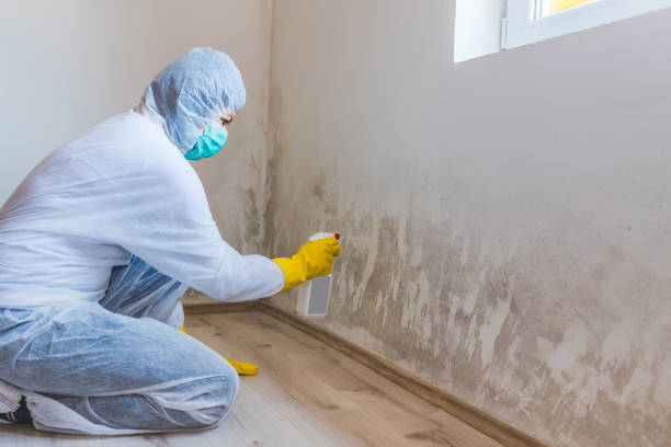 Licensed Mold Removal service in Allen, TX - WQB Mold Removal