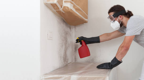 Professional Mold Removal technician working in Allen, TX