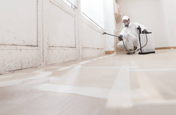 24/7 Emergency Mold Removal experts in Allen, TX