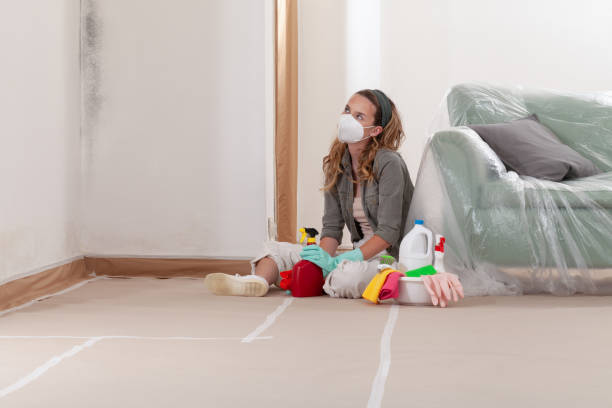 Reliable Mold Removal contractor in Allen, TX by WQB Mold Removal